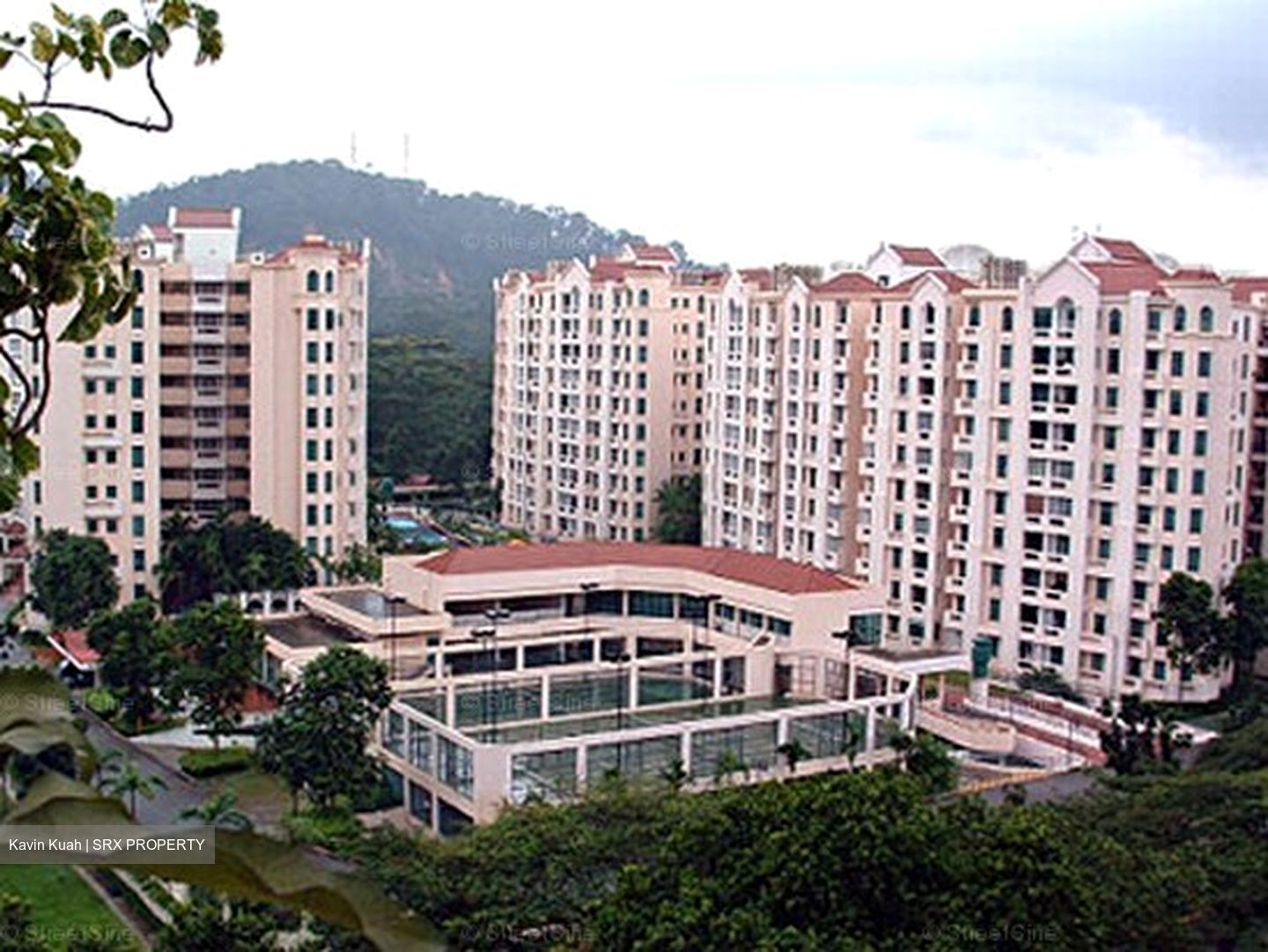 Hillview Heights (D23), Condominium #599107711